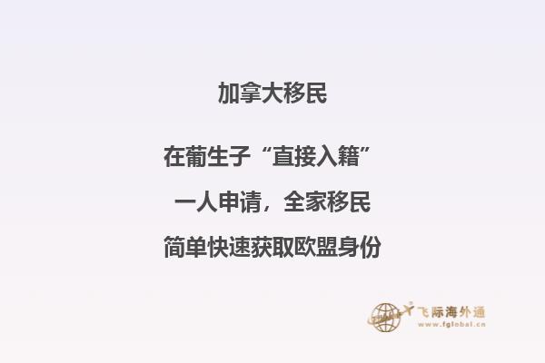 加拿大聯(lián)邦技術移民費用！與投資移民相比，竟然這要這么點！