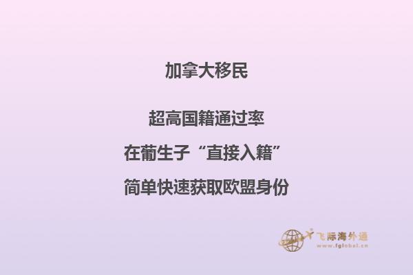 加拿大大西洋四省申請條件，你符合以下條件嗎？