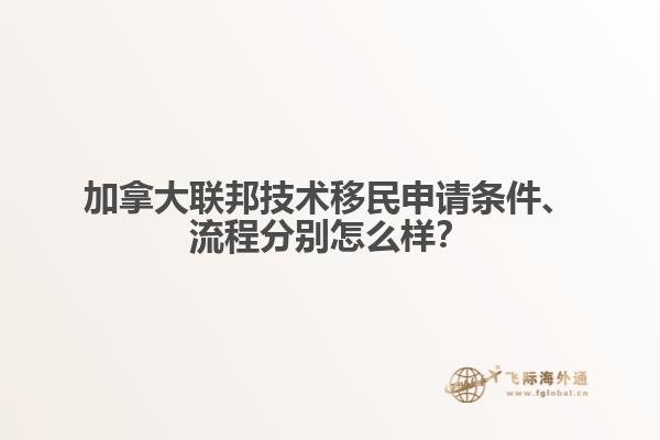 加拿大聯(lián)邦技術(shù)移民申請條件、流程分別怎么樣？