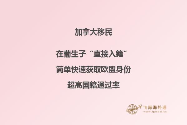 加拿大魁省投資移民適合哪些人，申請周期要多久？