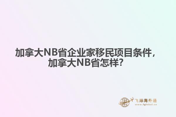 加拿大NB省企業(yè)家移民項(xiàng)目條件，加拿大NB省怎樣？