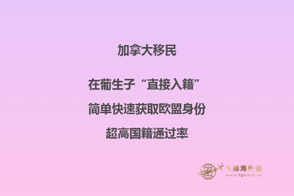 加拿大魁省投資移民需要多少錢，移民政策是什么？