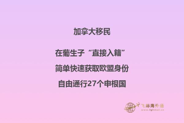 加拿大安省技術(shù)移民項目，哪種方式更適合你？