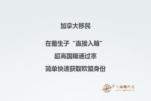 加拿大投資移民有幾種，你適合哪一種?
