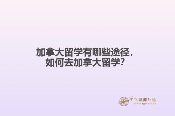 加拿大留學(xué)有哪些途徑，如何去加拿大留學(xué)？