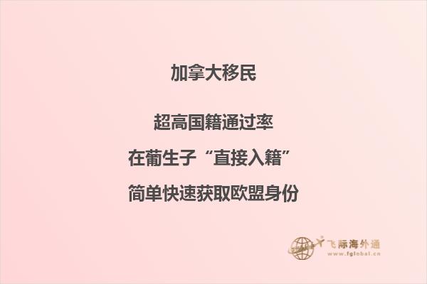 加拿大投資移民大盤點，你最中意哪個？