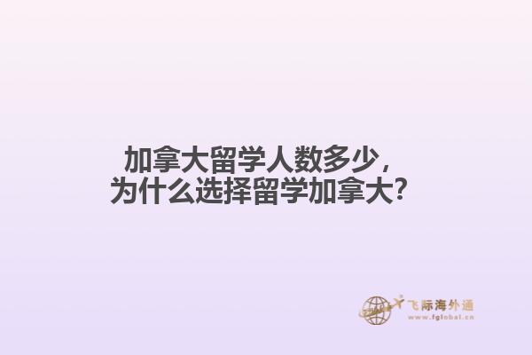 加拿大留學(xué)人數(shù)多少，為什么選擇留學(xué)加拿大？