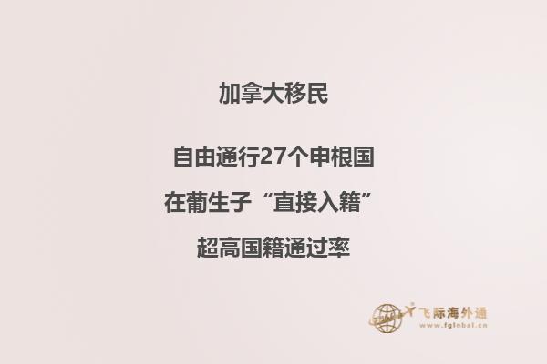 加拿大留學(xué)移民專業(yè)選什么，優(yōu)先選擇以下專業(yè)！