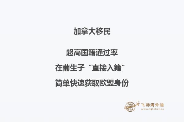 加拿大安省技術(shù)移民申請(qǐng)條件，流程復(fù)雜嗎？