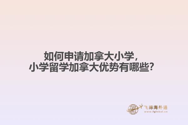 如何申請(qǐng)加拿大小學(xué)，小學(xué)留學(xué)加拿大優(yōu)勢(shì)有哪些？