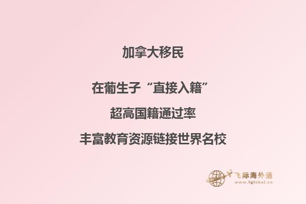 加拿大護照回中國要簽證嗎，為什么需要擔保人？