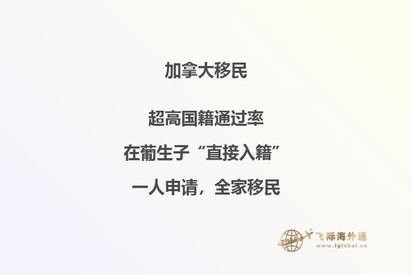 2020移民加拿大迎來利好，哪些移民方式最受歡迎？ 