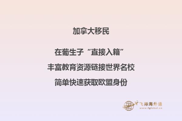 加拿大投資移民風(fēng)險(xiǎn)匯總，要避開(kāi)哪些陷阱？ 