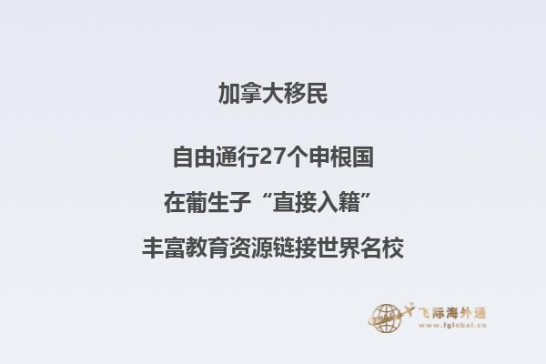 加拿大NB省企業(yè)家移民申請條件如何，你能申請嗎？