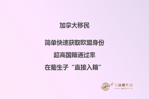 加拿大移民中介機構(gòu)選擇