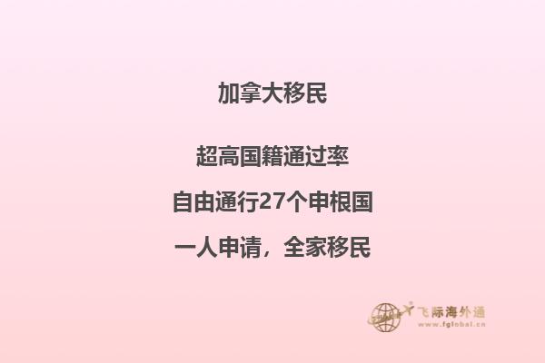 接到移民局背調電話怎么辦，如何輕松應對移民局電話調查