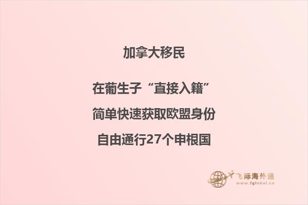 加拿大移民8成后悔，真實移民情況就是如此嗎