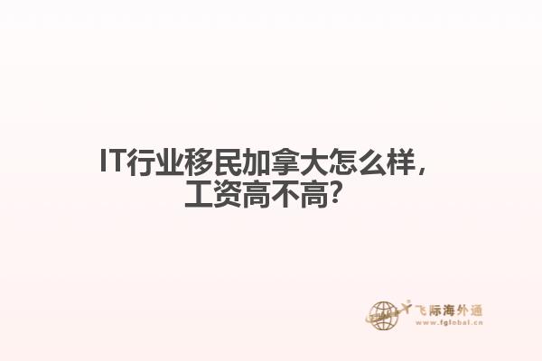 IT行業(yè)移民加拿大怎么樣，工資高不高？