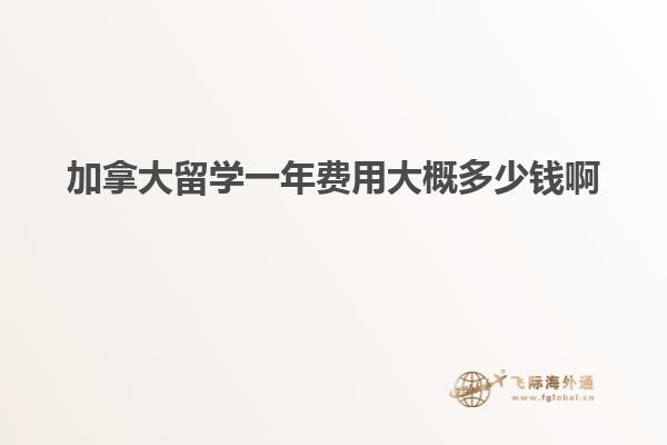 加拿大留學(xué)一年費用大概多少錢啊