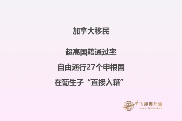 美國辦理加拿大旅游簽證如何辦理？
