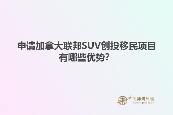 申請加拿大聯(lián)邦SUV創(chuàng)投移民項目有哪些優(yōu)勢？