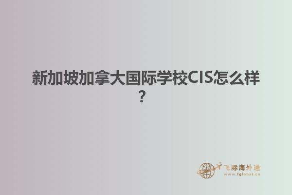新加坡加拿大國(guó)際學(xué)校CIS怎么樣？