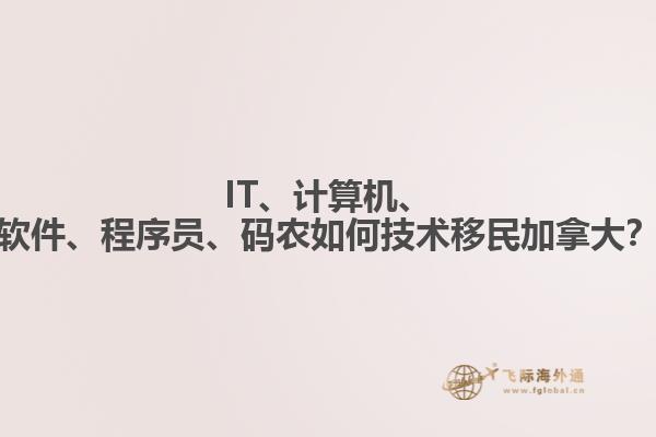IT、計(jì)算機(jī)、軟件、程序員、碼農(nóng)如何技術(shù)移民加拿大？