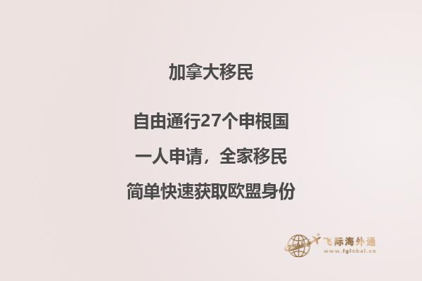 IT、計(jì)算機(jī)、軟件、程序員、碼農(nóng)如何技術(shù)移民加拿大？