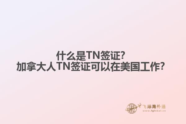 什么是TN簽證？加拿大人TN簽證可以在美國工作？