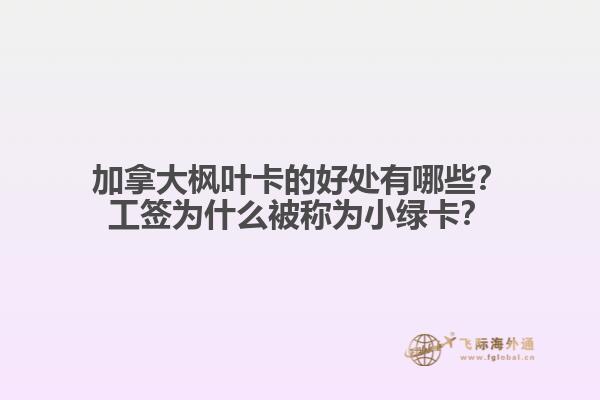 加拿大楓葉卡的好處有哪些？工簽為什么被稱為小綠卡？