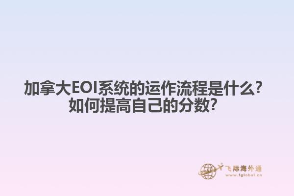 加拿大EOI系統(tǒng)的運作流程是什么？如何提高自己的分?jǐn)?shù)？