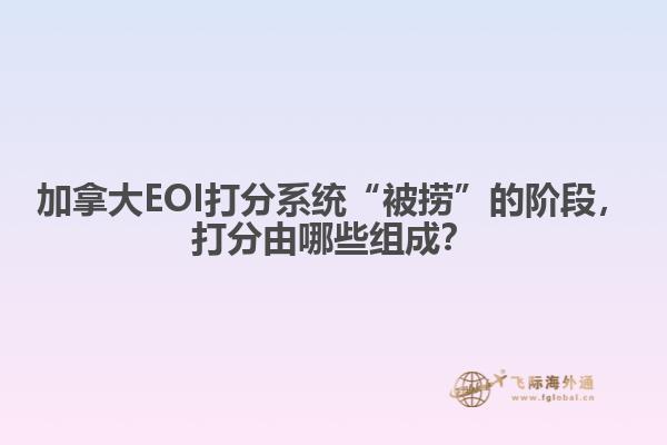 加拿大EOI打分系統(tǒng)“被撈”的階段，打分由哪些組成？