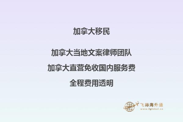 疫情對加拿大移民有何影響？如何應(yīng)對？