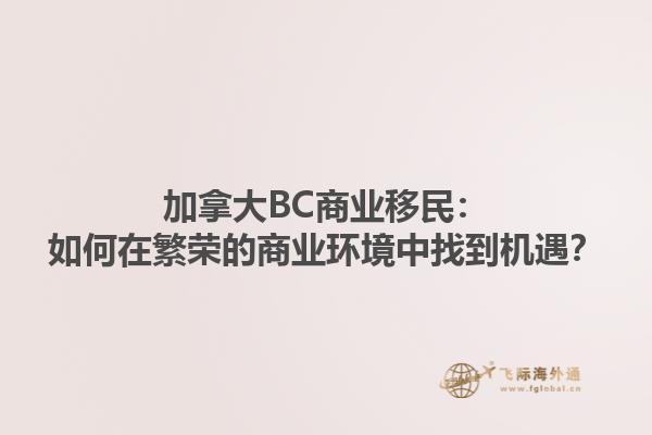 加拿大BC商業(yè)移民：如何在繁榮的商業(yè)環(huán)境中找到機遇？