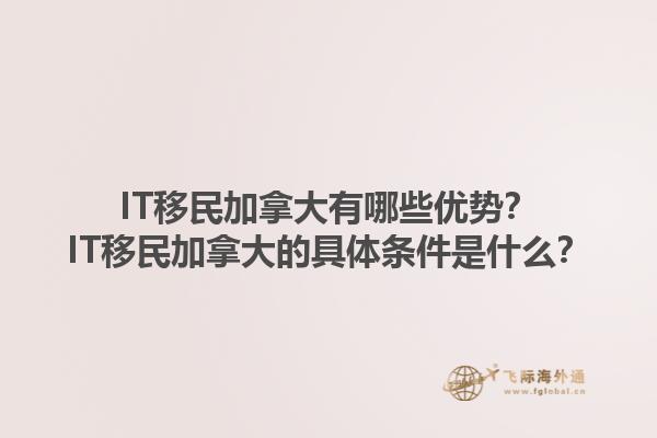 IT移民加拿大有哪些優(yōu)勢？IT移民加拿大的具體條件是什么？1.jpg