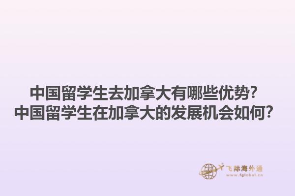 中國留學生去加拿大有哪些優(yōu)勢？中國留學生在加拿大的發(fā)展機會如何？1.jpg