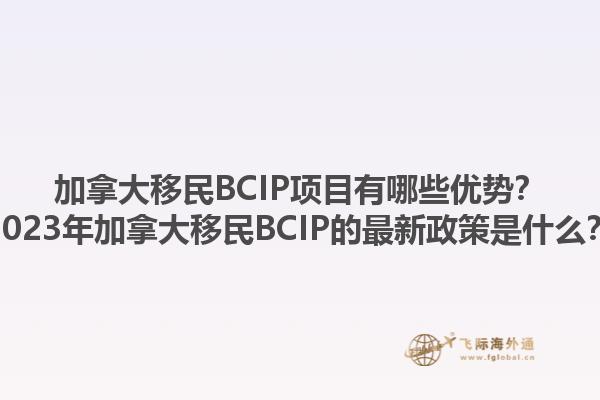 加拿大移民BCIP項(xiàng)目有哪些優(yōu)勢(shì)？2023年加拿大移民BCIP的最新政策是什么？