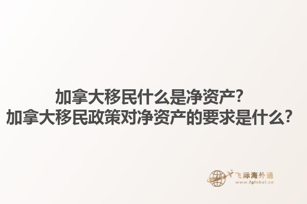 加拿大移民什么是凈資產(chǎn)？加拿大移民政策對凈資產(chǎn)的要求是什么？1.jpg