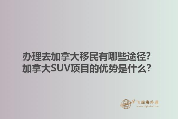 辦理去加拿大移民有哪些途徑？加拿大SUV項目的優(yōu)勢是什么？