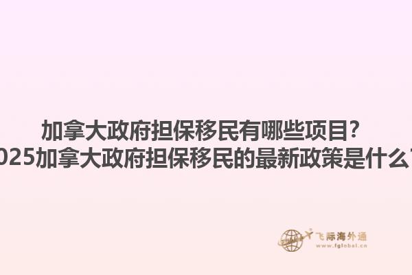 加拿大政府擔保移民有哪些項目？2025加拿大政府擔保移民的最新政策是什么？