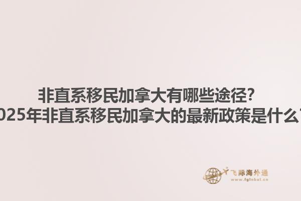 非直系移民加拿大有哪些途徑？2025年非直系移民加拿大的最新政策是什么？