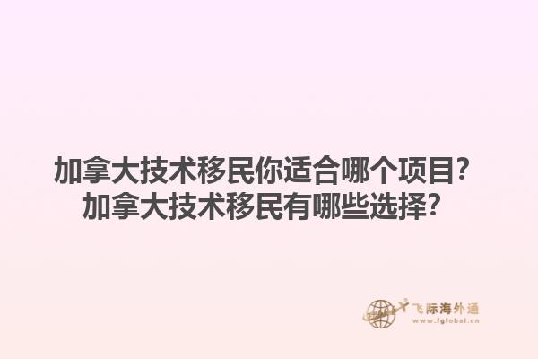 加拿大技術(shù)移民你適合哪個項(xiàng)目？加拿大技術(shù)移民有哪些選擇？