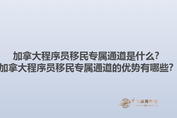 加拿大程序員移民專屬通道是什么？加拿大程序員移民專屬通道的優(yōu)勢有哪些？1.jpg
