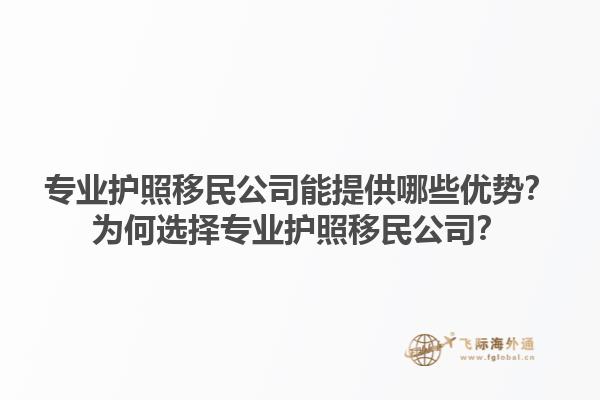 專業(yè)護(hù)照移民公司能提供哪些優(yōu)勢？為何選擇專業(yè)護(hù)照移民公司？1.jpg