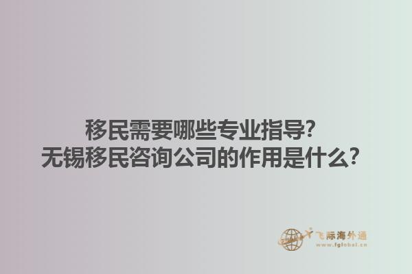移民需要哪些專(zhuān)業(yè)指導(dǎo)？無(wú)錫移民咨詢公司的作用是什么？1.jpg