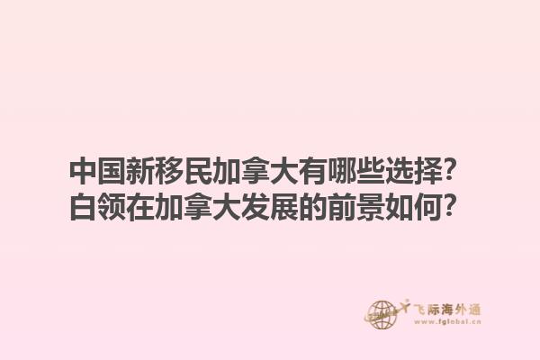 中國新移民加拿大有哪些選擇？白領(lǐng)在加拿大發(fā)展的前景如何？1.jpg
