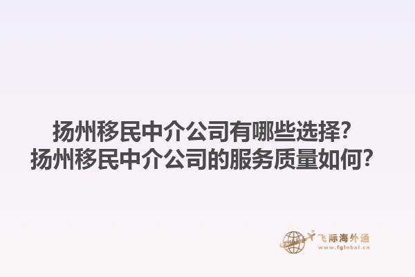 揚州移民中介公司有哪些選擇？揚州移民中介公司的服務質量如何？1.jpg