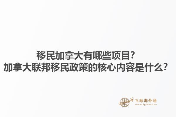 移民加拿大有哪些項目？加拿大聯(lián)邦移民政策的核心內(nèi)容是什么？1.jpg
