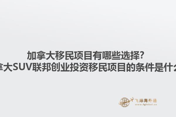 加拿大移民項(xiàng)目有哪些選擇？加拿大SUV聯(lián)邦創(chuàng)業(yè)投資移民項(xiàng)目的條件是什么？1.jpg