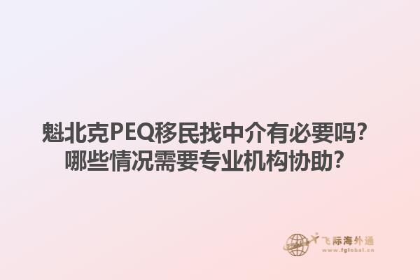 魁北克PEQ移民找中介有必要嗎？哪些情況需要專業(yè)機(jī)構(gòu)協(xié)助？1.jpg